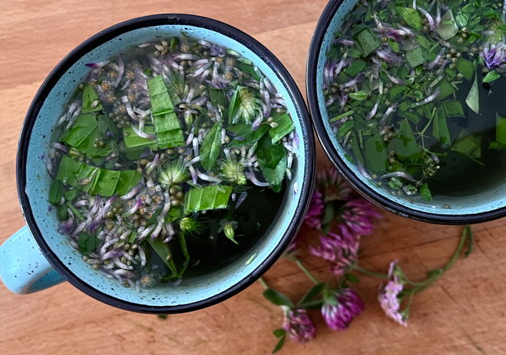 Kräutertinkturen herstellen | Preparare delle tinture alle erbe 1 Kräutertee