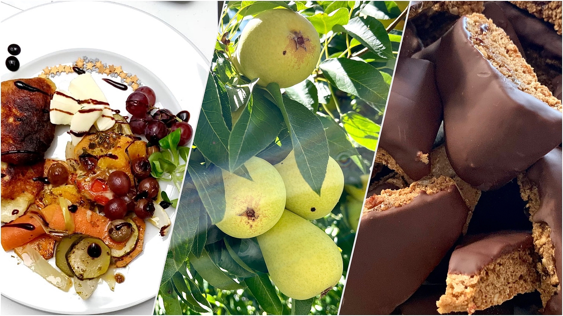 Ernährung | Alimentazione 1 Ernährung