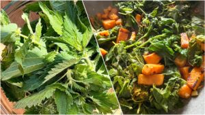 Ernährung | Alimentazione 4 Gibt es das „richtige“ Büroessen | Esiste un pasto da ufficio “giusto”?